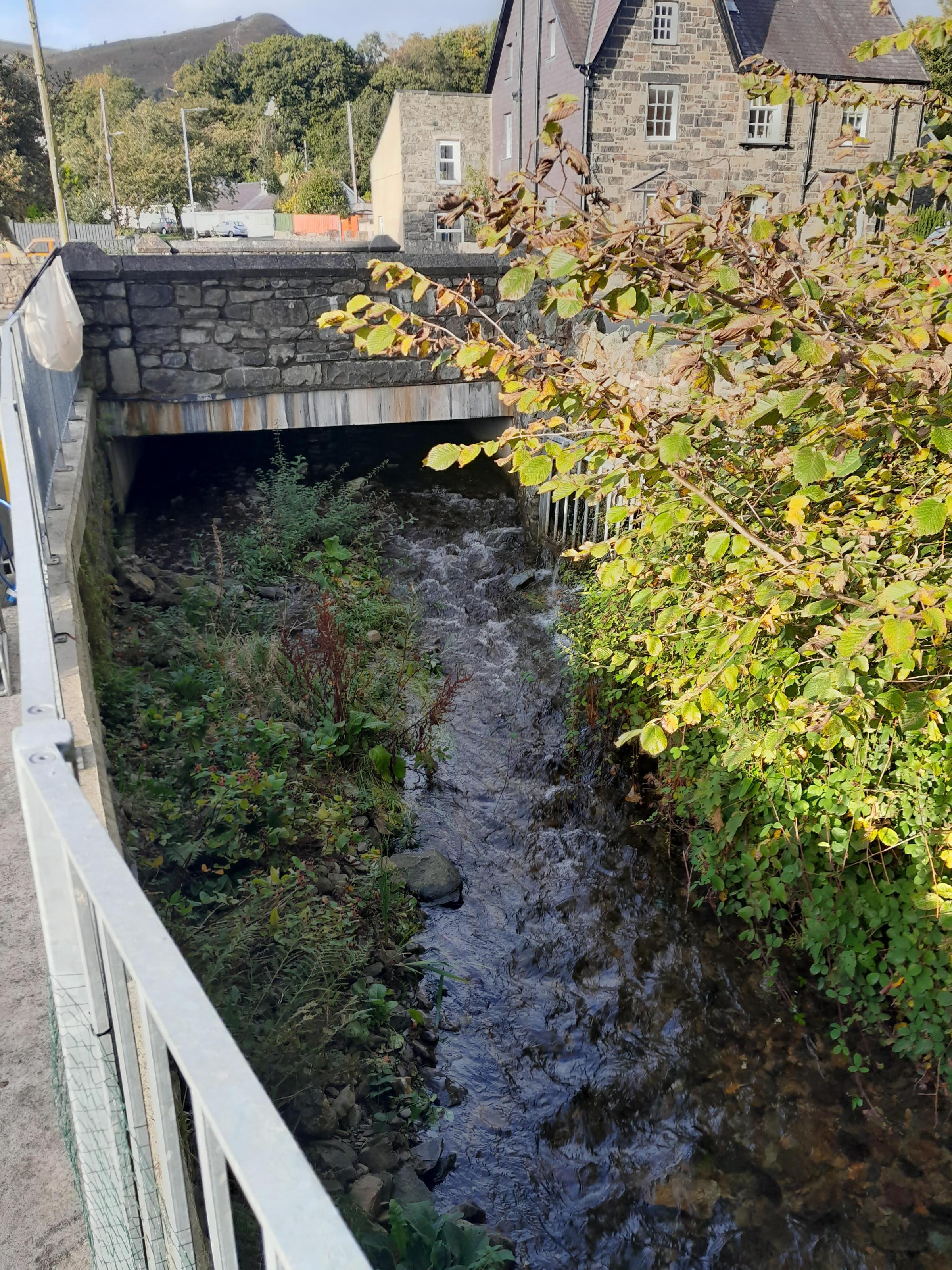 Staff from Natural Resources Wales (NRW) relocated 82 trout fry, 16 trout parr, four salmon fry, four salmon parr, 10 eels and 33 minnows from a stretch of the Afon Goch within the village of Llanberis.