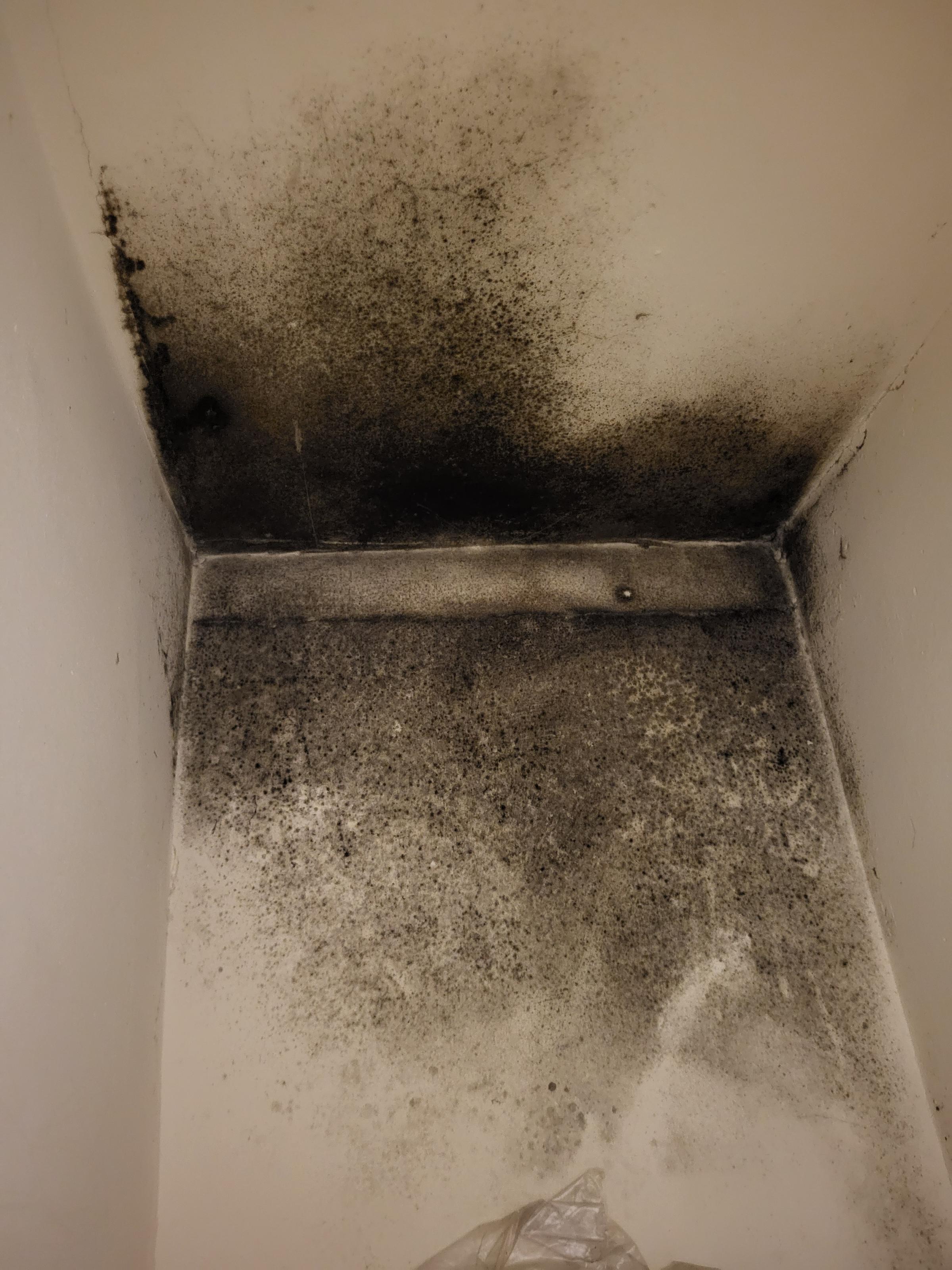 Beth Parry claims her home is impacted by black mould and damp in Amlwch. Photo shows the bathroom cupboard. (Image Beth Parry) 