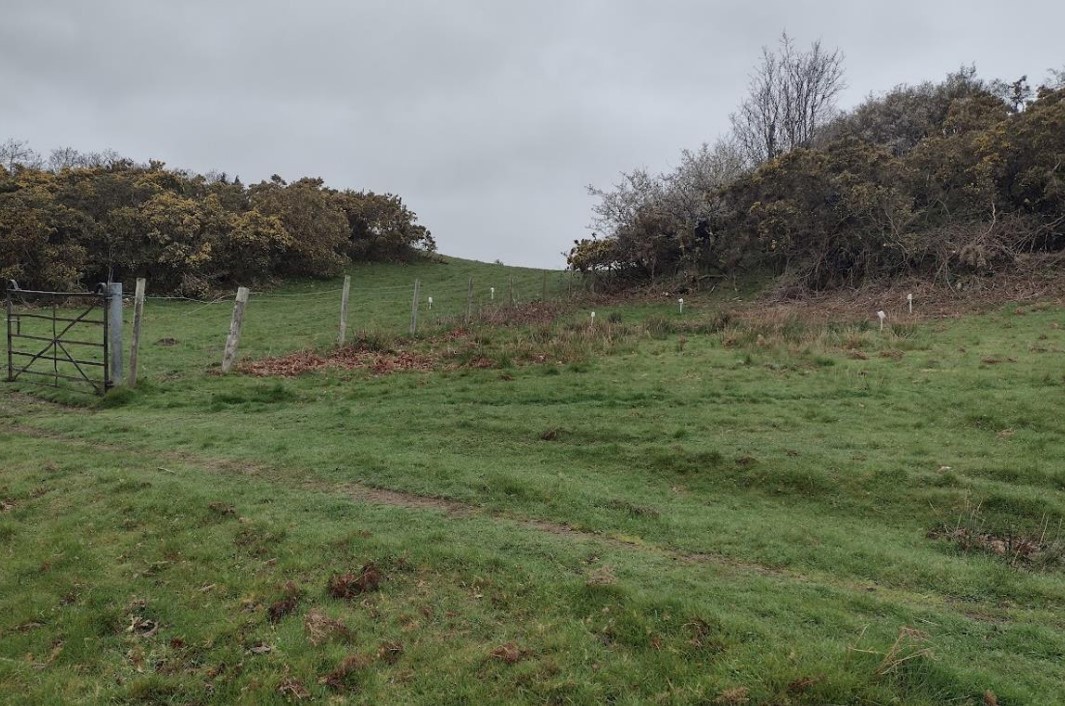 The solar panels will sited on rough sheep grazing land at Minffordd (Cyngor Gwynedd Planning Documents Image)