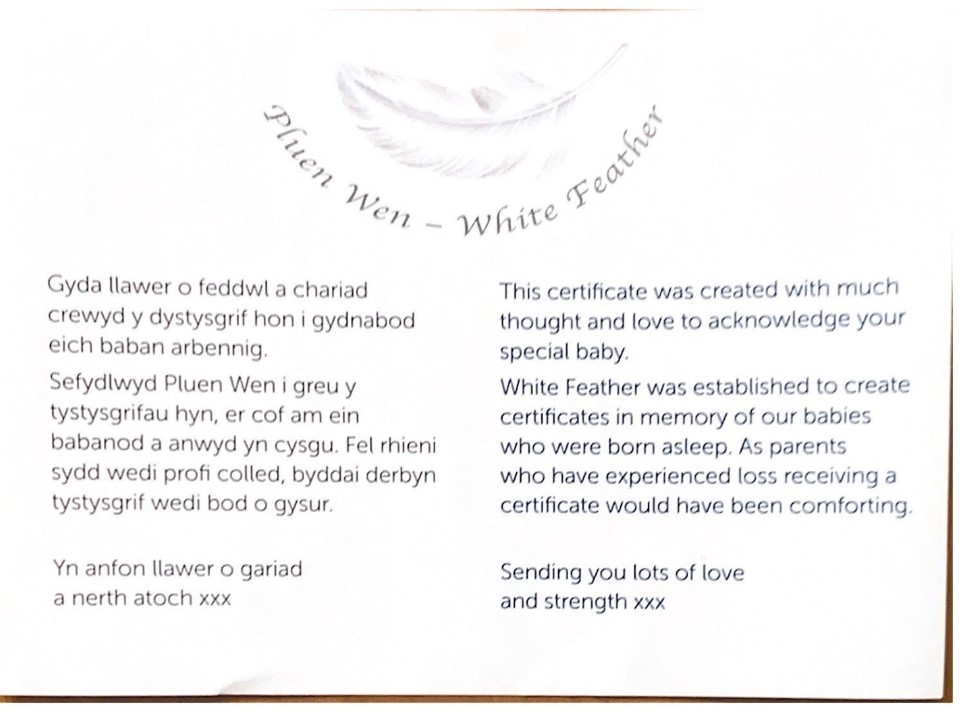 Pluen Wen Certificate For Babies Born Before 24 Weeks (Image Fiona Hughes)