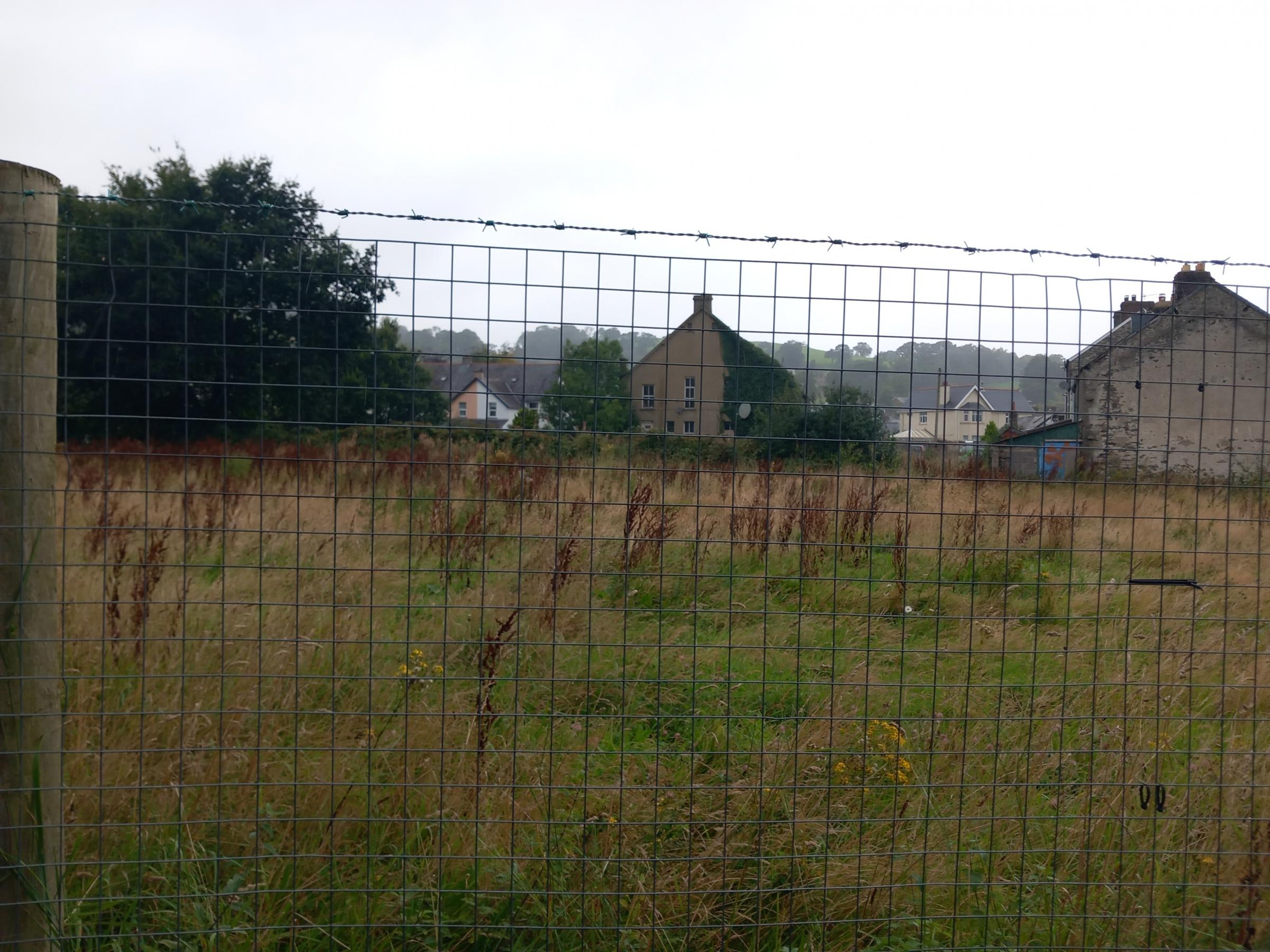 The field where the houses will be built behind the houses at Aran Street, Bala (Image Ds)